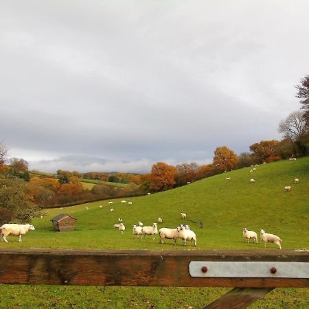 Gwilym'S Stable Apartment บลิตธ์เวลส์ ภายนอก รูปภาพ