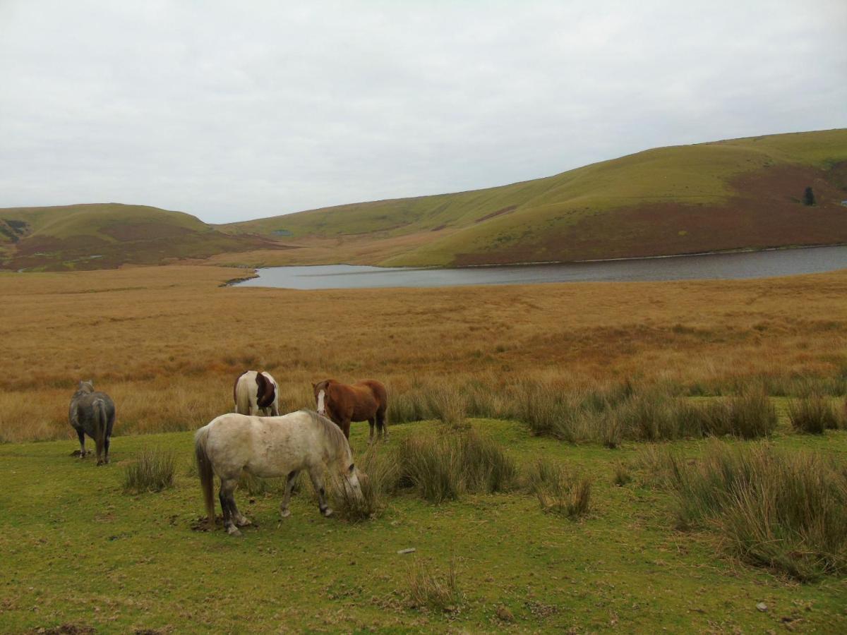 Gwilym'S Stable Apartment บลิตธ์เวลส์ ภายนอก รูปภาพ